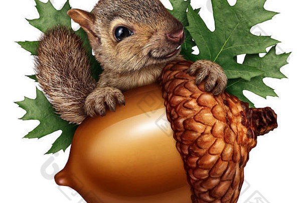 可爱的松鼠橡子，拿着一颗巨大的树坚果，橡树叶子和毛茸茸的动物储存着坚果，这是一个有趣的秋天象征。