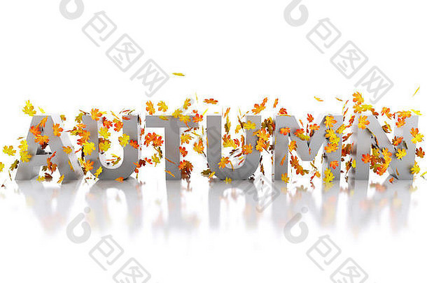 3d渲染器图像。用树叶装饰的秋天这个词。孤立的白色背景。