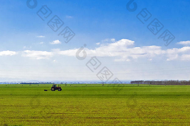 拖拉机在绿色的田野里，在多云的蓝天上，夏秋时节收割庄稼
