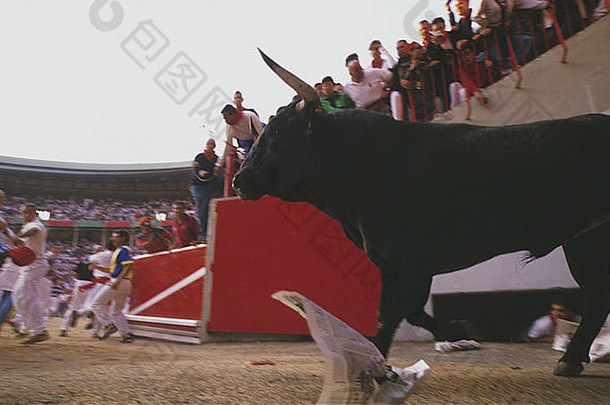 在西班牙潘普洛纳纳瓦拉的圣佛明节上，公牛来到斗牛场