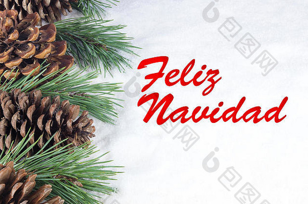 白雪背景下的一组松树和一些树枝，带有西班牙语Feliz Nidad文本。