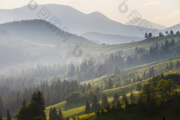 喀尔巴阡山脉薄雾蒙蒙的早晨。乌克兰