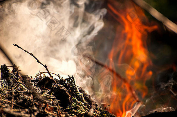 点火。篝火、白烟、炽热、炽热的煤和火的宏观拍摄。燃烧树枝和木头。壁炉里的火焰，舒适的家，温暖