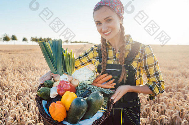在农村收获季节，女农场主提供蔬菜