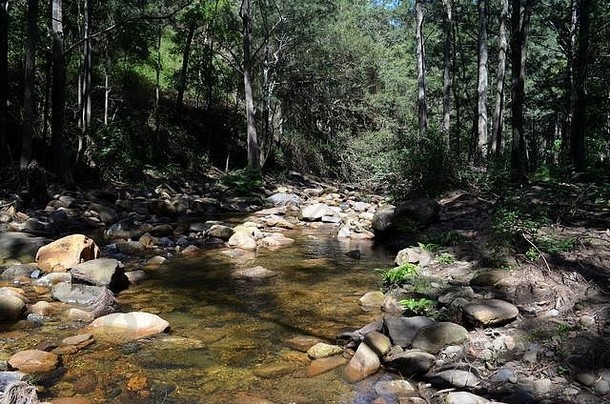 炎炎夏日澳大利亚灌木丛中美丽的河流