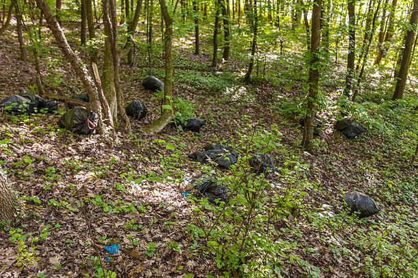 森林里的黑色塑料垃圾袋，春季大扫除。袋子里的树叶和垃圾