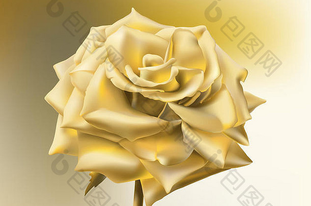 金玫瑰-开放的玫瑰与发光的花瓣制成的黄金。