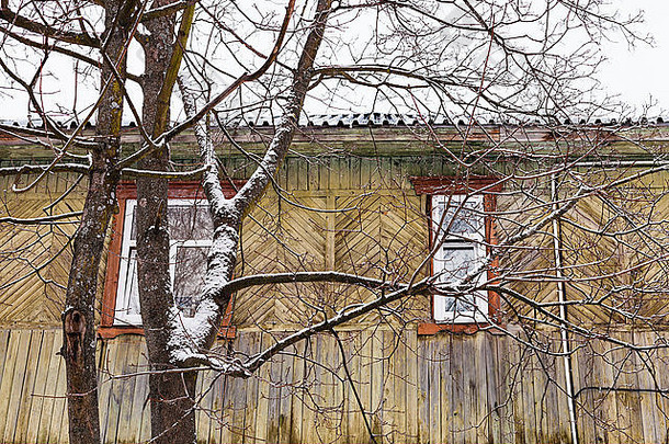 光秃秃的树和古老的木制乡村房屋的墙壁