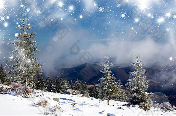 圣诞节<strong>背景</strong>银雪冷杉树