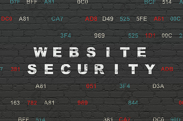 保护理念：墙壁背景上的网站安全