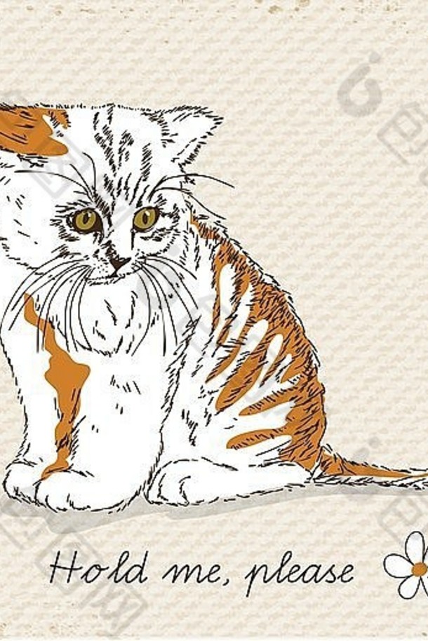 伤心猫坐着小猫t恤设计古董风格