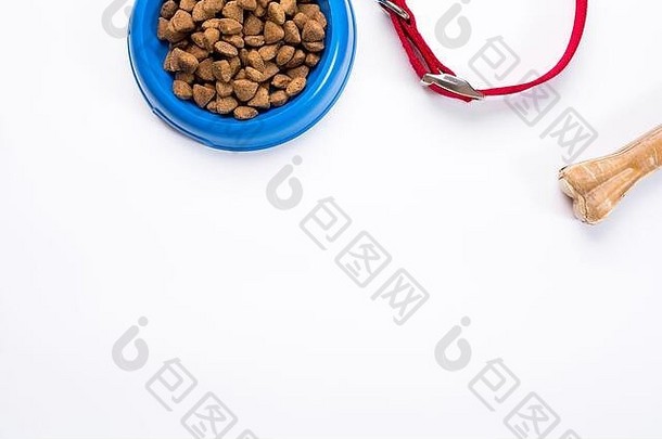 项圈，蓝碗，带饲料，皮带和美味的狗。在白色背景上隔离