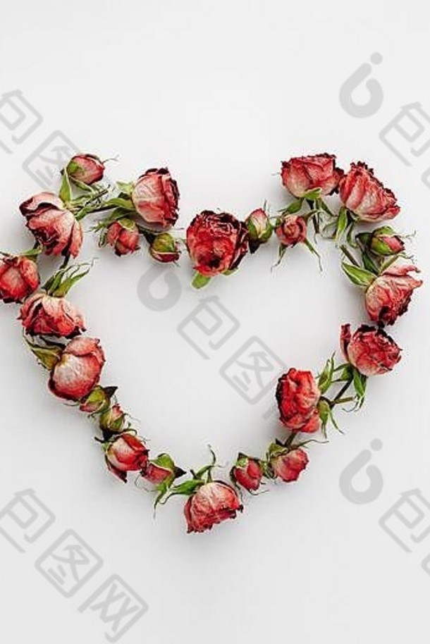 白色背景上用干红玫瑰制成的心形框架。情人节。爱情观