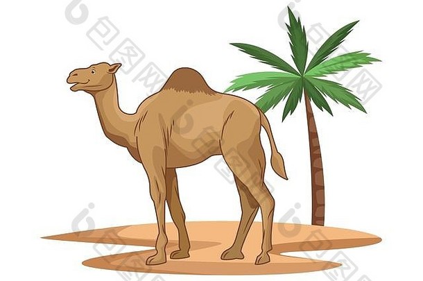 沙漠中的骆驼与棕榈树