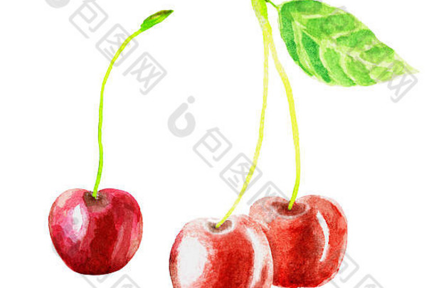 樱桃水彩手绘插图。樱桃果枝，白色背景上分离的樱桃水彩。