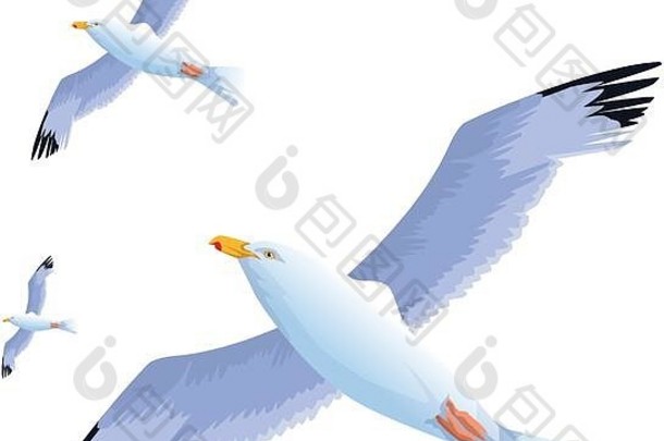 海鸥飞行图标色彩斑斓的设计
