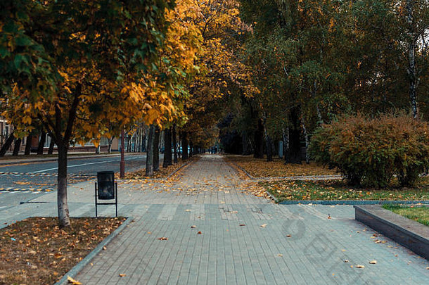 秋天阳光明媚。公园里有长凳的路。秋天公园的树木和秋天的落叶在公园的地面上在一个阳光明媚的十月天。