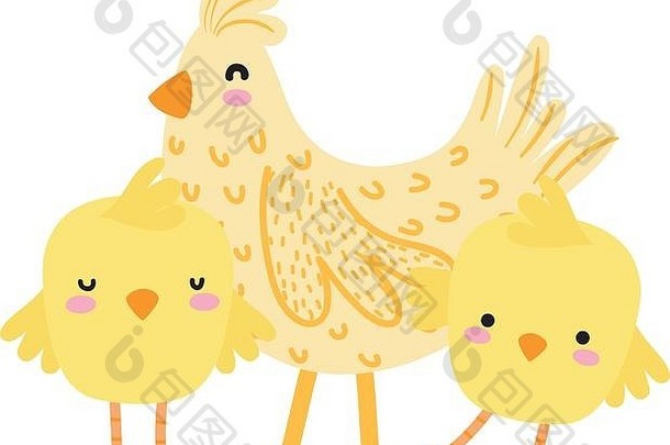五颜六色的母鸡和小鸡农场鸟类动物