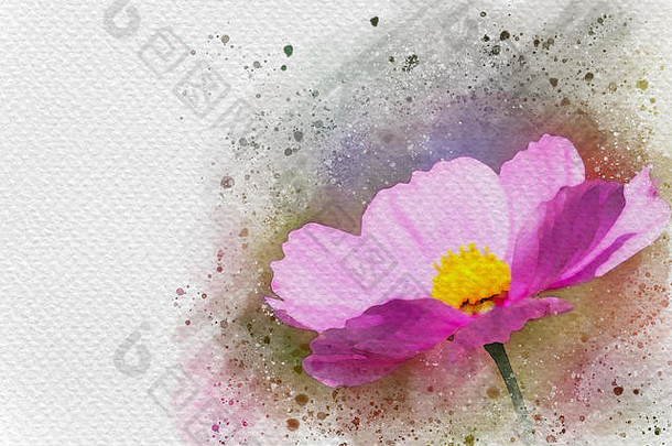 草地上的粉红色花朵。数字水彩绘画效果。为文本空间。