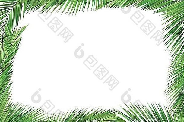 椰子叶子