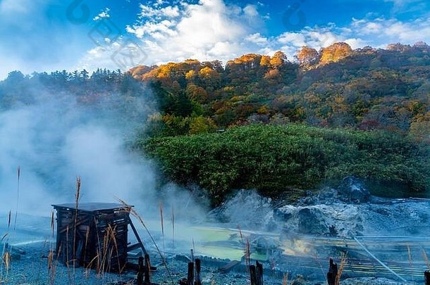 视图日本多摩川温泉早....阳光发光色彩斑斓的秋天树叶森林山白色蒸汽流热水