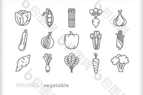集食物蔬菜行图标新鲜的健康的农场蔬菜