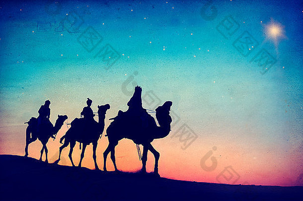 一群骑骆驼的人被隔离在背景上