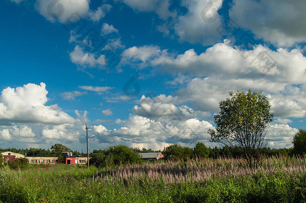 8月的夏日风景在田野上的村庄里，可以看到蓝天上美丽的云朵