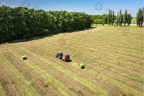 带有牵引式打捆机的拖拉机在田间收集稻草<strong>卷</strong>，并打成大捆