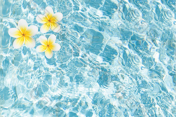 蓝色的水纹理热带花前视图池水表面背景