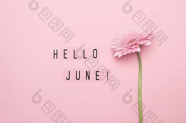 你好，六月的文字和粉红色的非洲菊花在粉红色的背景上。你好，六月概念。
