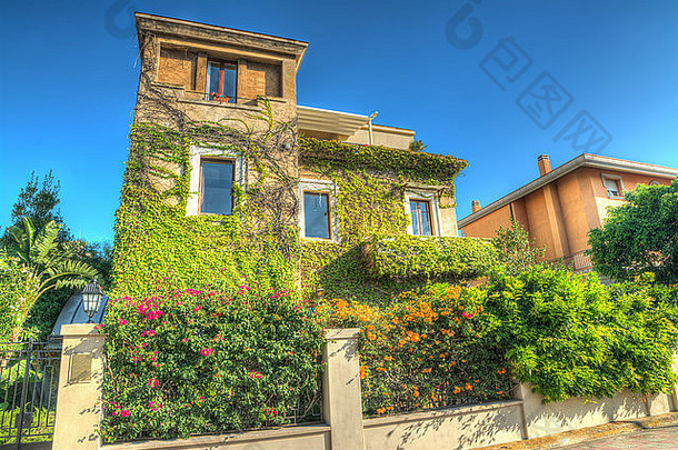 意大利撒丁岛常春藤叶子和花朵覆盖的建筑