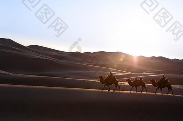 游牧民族的结婚了夫妇穿越巨大的沙子沙丘大夏的骆驼商队日出戈壁沙漠蒙古