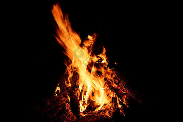 黄色、红色和橙色的火焰、煤炭和木柴在黑色背景下的篝火中喷发
