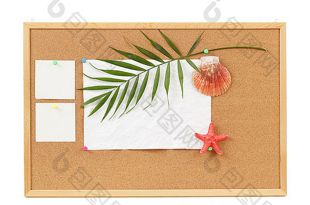 带棕榈叶、皱折纸和贝壳的彩纸，用于度假信息