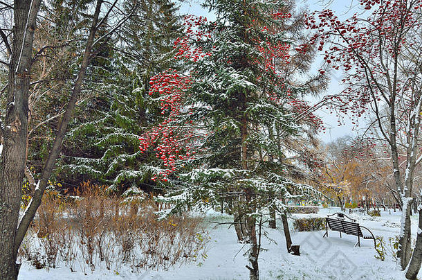 雪城市公园红色的罗文束<strong>挂板</strong>凳上白雪覆盖的城市公园