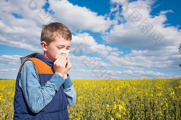 黄色油菜地里的小男孩擤鼻涕，花粉过敏。