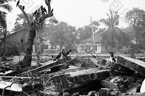 2005年1月，海啸浪潮了斯里兰卡安帕拉的KALMUNAI区，造成严重破坏