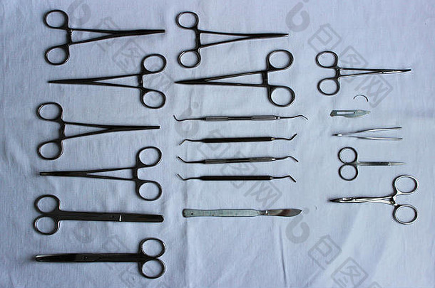 手术器械和工具，包括手术刀、镊子和镊子，在清洗后晾干后放在蓝色织物上。兽医诊所