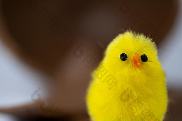 白色背景下带巧克力复活节蛋的黄色玩具鸡