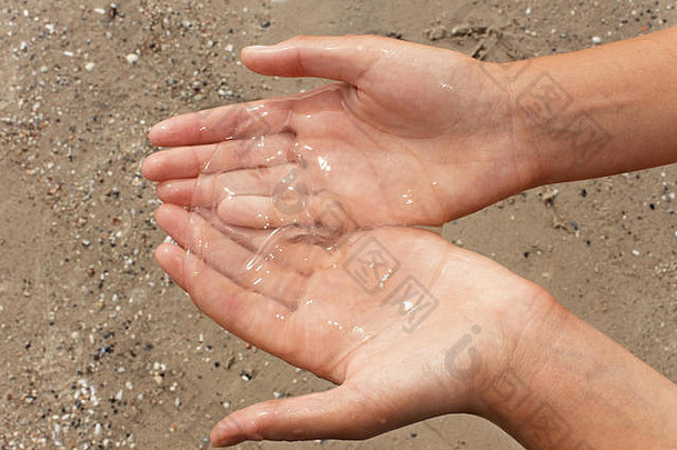 在模糊的沙子背景上，女人手中的半透明小水母