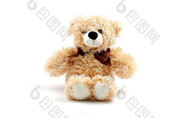 棕色（的）泰迪熊玩具孤立的白色背景影子