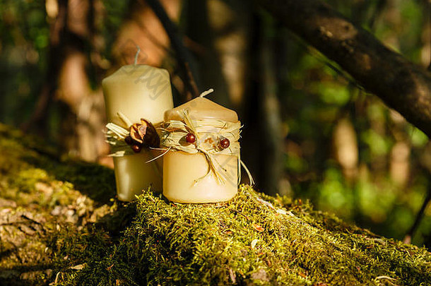 两支蜡烛，两支蜡烛在森林里的一根旧木头上。