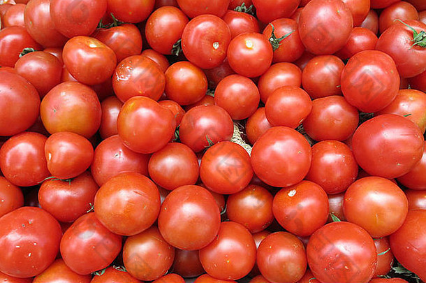 一组新鲜西红柿。背景照片。