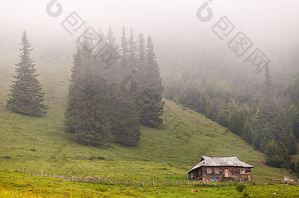 有雾的神奇山景。喀尔巴阡山脉