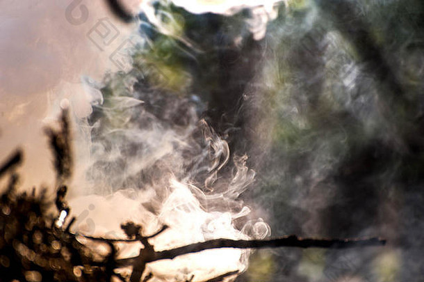点火。篝火、白烟、炽热、炽热的煤和火的宏观拍摄。燃烧树枝和木头。壁炉里的火焰，舒适的家，温暖