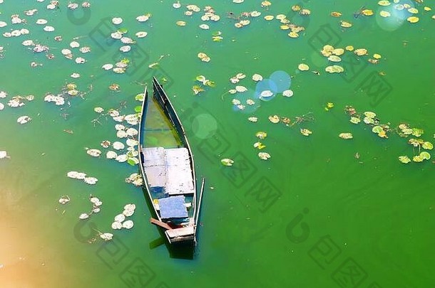 睡莲叶淹没了绿色河水中的小船。阳光灿烂。日落