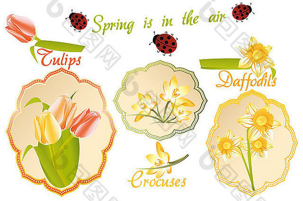 带有春天花朵的复古标签：郁金香、番红花、水仙花和瓢虫