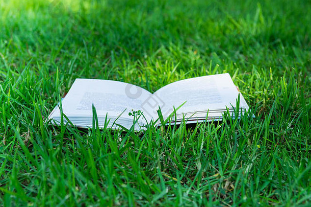打开书躺在绿草上阳光点点，夏、春、正宗风格，教育、阅读、学习理念、放松、环境、学校，
