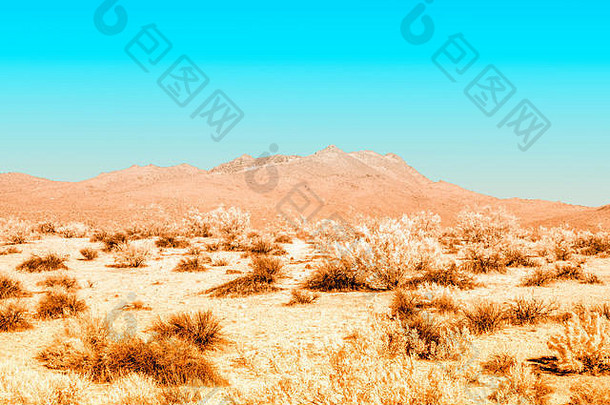 贫瘠的棕色（的）沙漠山背景光蓝色的天空完整的光谱摄影